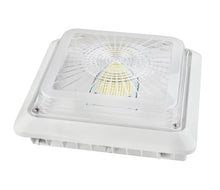 Load image into Gallery viewer, LED Canopy Light 00
